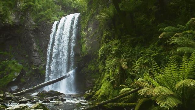 Healing Harmonies: Music's Power to Mend Hearts and Blood Vessels 🎶 смотреть онлайн