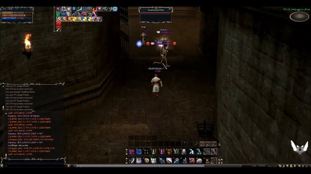 Lineage 2 Adventure solo part 2 vsALL L2 free смотреть онлайн