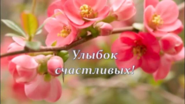 поздравить бухгалтера с днем рождения смотреть онлайн