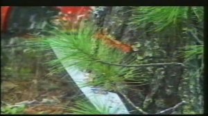 Обь-Енисейский канал.  Часть 2