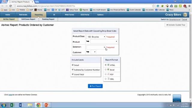 Ad Hoc Reporting Demo смотреть онлайн