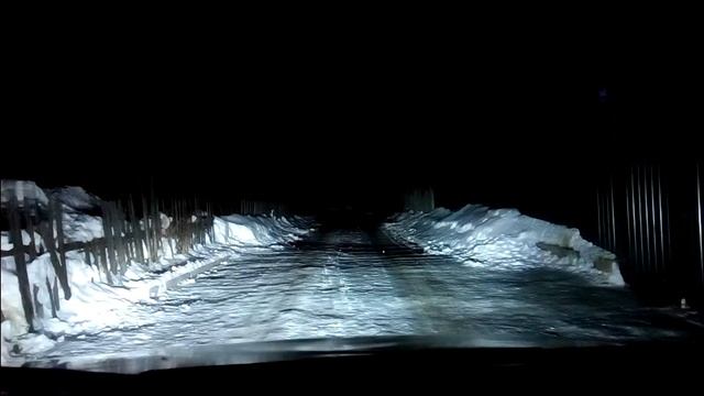 Сняли на камеру! Непонятно чудище в дачах ночью! смотреть онлайн