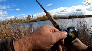 Потому что она любопытная... Ловля щуки на джеркбейты. #каналнарыбалку#джеркбейт#щука