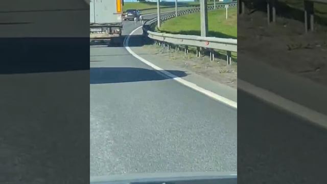 Олени. Сертолово смотреть онлайн