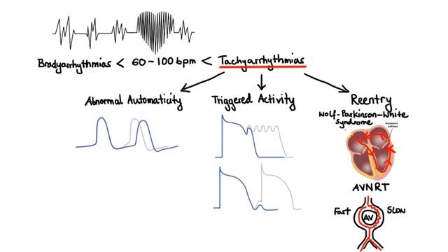 Pharmacology - ANTIARRHYTHMIC DRUGS (MADE EASY).mp4 смотреть онлайн