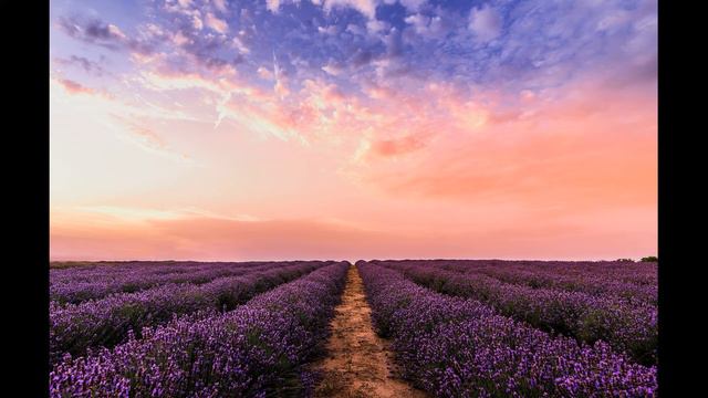 #relaxingmusic #relax #soothingrelaxation Прекрасная музыка для снятия напряжения и сна.