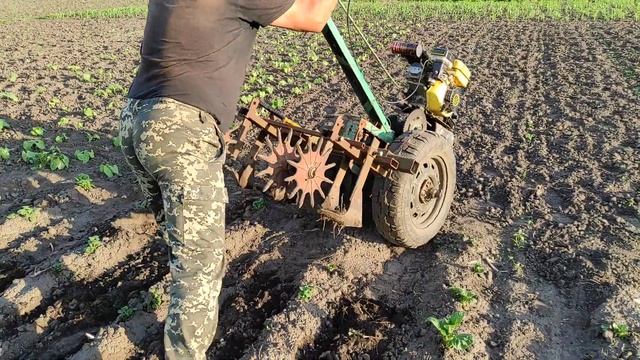 СУПЕР МОТОБЛОК ПРОПОЛКА КАРТОШКИ смотреть онлайн