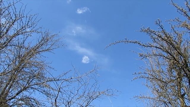 Медитация Сахаджа йога смотреть онлайн