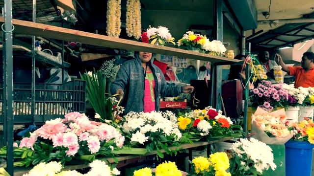 Mauritius - Curepipe - Run-trough смотреть онлайн