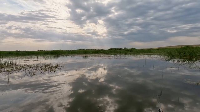 Охота на змееголова смотреть онлайн