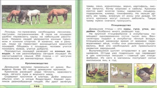 Животноводство в нашем крае. Окружающий мир. 4 класс, 1 часть. Учебник А. Плешаков стр. 195-203 смотреть онлайн