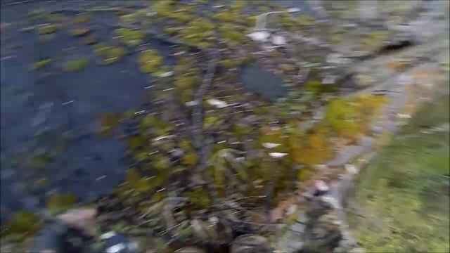 Страйкбол в Сочи. Неожиданный визит. СК Спрут смотреть онлайн