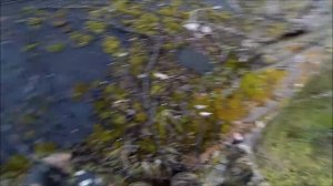 Страйкбол в Сочи. Неожиданный визит. СК Спрут