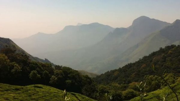 Body Scan 20 minutes MBSR Mindfulness