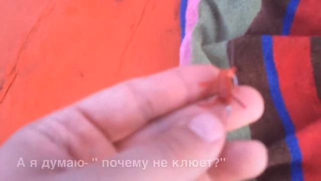 Рыбалка в Сиамском заливе ч 2!!! смотреть онлайн