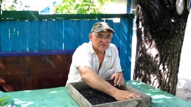 Просто взяли и пере сеяли семечки ПОДСОЛНУХОВ смотреть онлайн