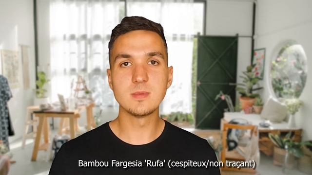 5 Plantes à Mettre en Bac comme Brise Vue ! (sur balcon/terrasse...) смотреть онлайн