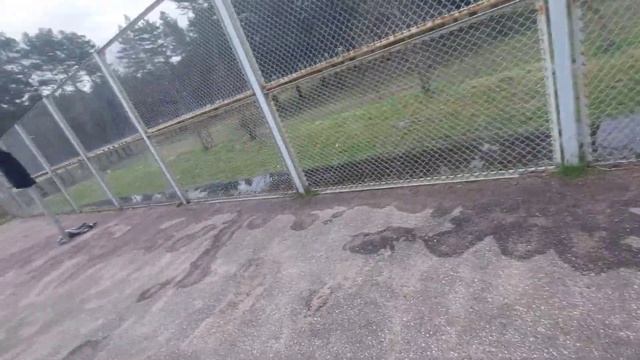 Поехал на заработки в столицу! Нашими детьми заняли весь стадион... Септик плывёт по течению