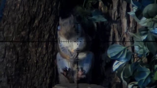 70 Dirt Naps - Best of 2022 Kill Shots! (Trust Me… you have time!) смотреть онлайн