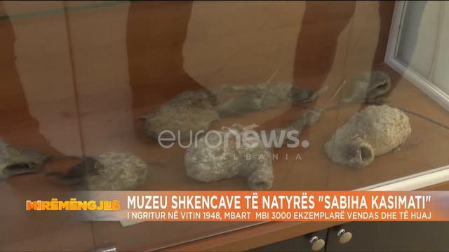 Njihuni me muzeun e shkencave të natyrës ''Sabiha Kasimati'', mbi 3000 eksponentë vendas e të huaj смотреть онлайн