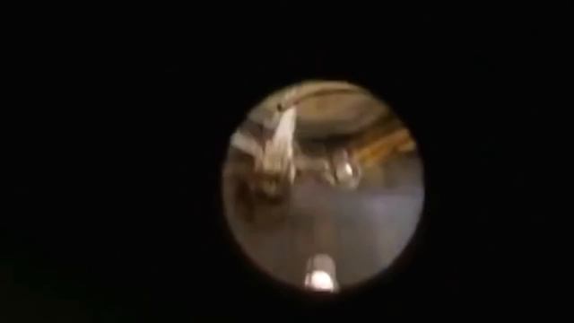 "Ой у лузі червона калина". Січові Стрільці сучасності. смотреть онлайн