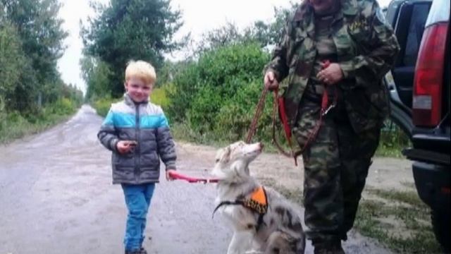 Отряду LIZA ALERT посвящается - "не ангелы..." смотреть онлайн