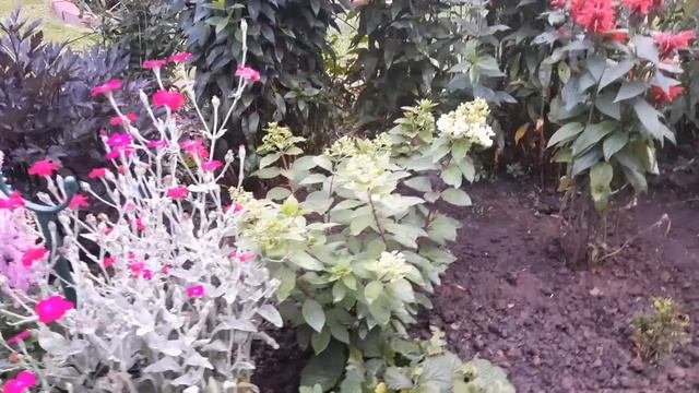 22 июля 2023 г. Обзор центральной клумбы. смотреть онлайн