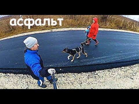 ЭТА НЕВЕРОЯТНАЯ ДОРОГА В ДЕРЕВНЮ // КАК ЗДОРОВЬЕ У СОБАКИ? смотреть онлайн