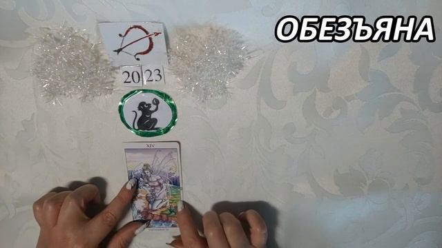 СТРЕЛЕЦ ГОРОСКОП НА 2023 ГОД ПО ВОСТОЧНОМУ КАЛЕНДАРЮ ЛОШАДЬ-КАБАН смотреть онлайн