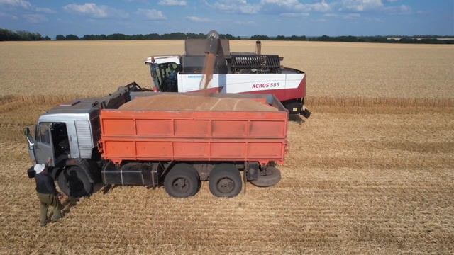 1 год фермера за 7 минут смотреть онлайн