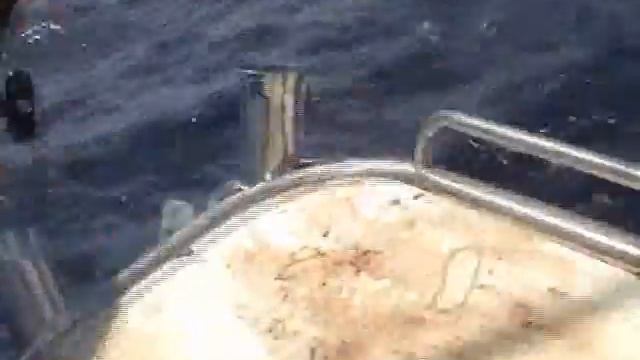 port stephens australia смотреть онлайн