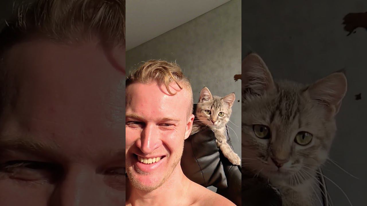 друг всегда рядом #shorts смотреть онлайн