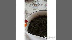 Ферментация Иван-чая через заморозку