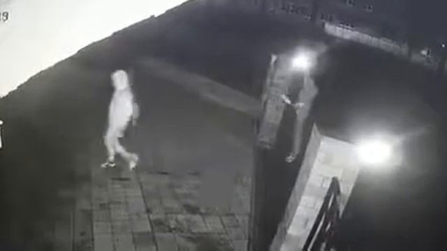 В Ельце расправа хулигана над фонарем в парке попала на видео смотреть онлайн
