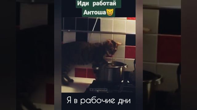 20 июля 2022 г. смотреть онлайн