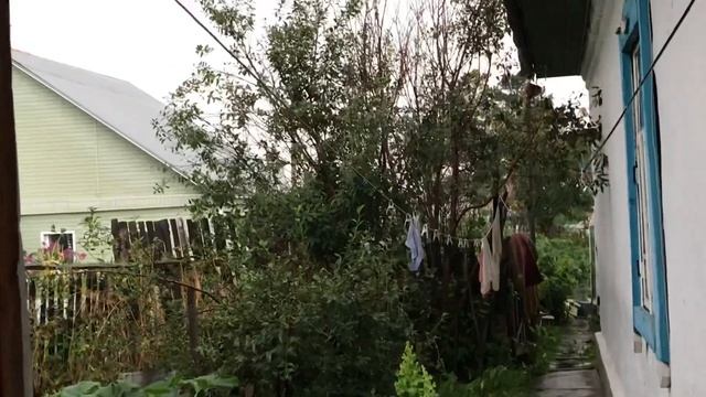 РАЗОБРАЛИ ПОЛ/Помутнели огурцы/МОЙ ОГОРОД - все запустила смотреть онлайн