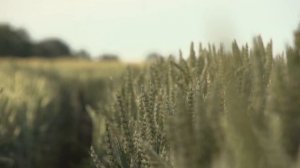 Эффективная Медитация на Быстрое Исполнение Желания: Получи То, Что Хочешь!