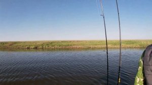 РЕКА ИШИМ ГИБНЕТ!!! ОЧЕТЬ ЖАЛКО РЕКУ!!!