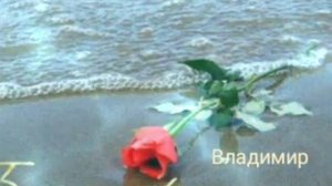 ТЫ СКАЖИ ВЛАДИМИР ПРЕСНЯКОВ/Владимир