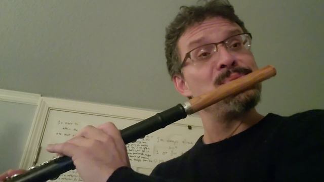 Bach - Cello suite in D major - Sarabande - Pallottelli, flute смотреть онлайн