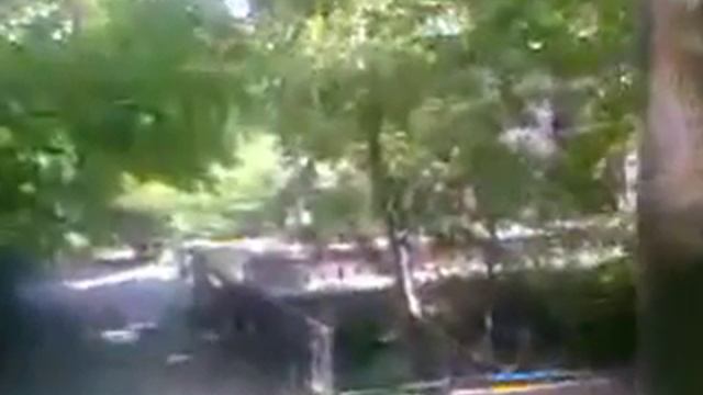 videoplayback202.mp4 смотреть онлайн