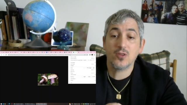 Boletus Violaceofuscus Pillole di Micologia Conoscere i Funghi - Giacomo Ciabatti Ispettore Micolog смотреть онлайн