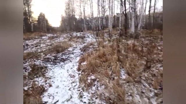 На дальнее озеро . смотреть онлайн