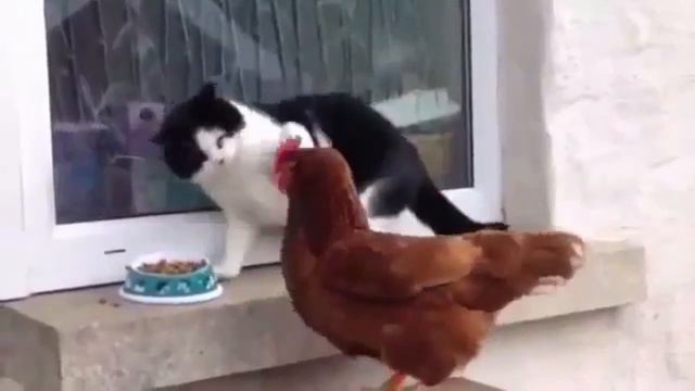 С новым 2017 годом, годом петуха! Никогда не сдавайтесь! смотреть онлайн