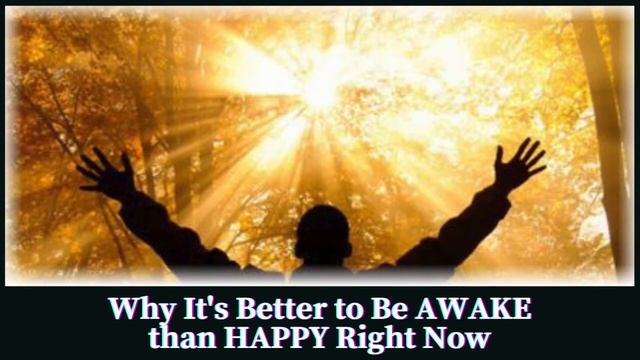 Why It's Better to Be Awake than Happy Right Now смотреть онлайн
