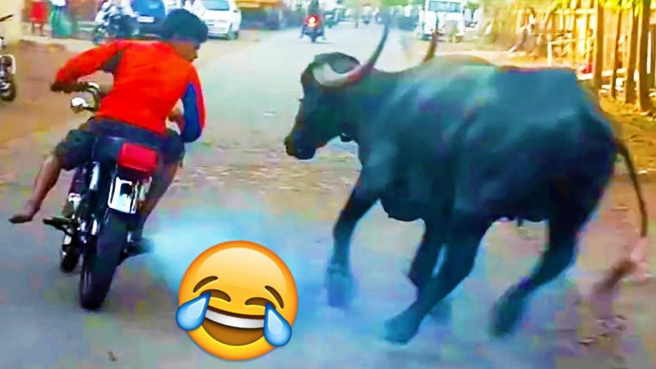 Попробуй не смеяться ? Лучшая компиляция смешных видеороликов ??? Мемы смотреть онлайн