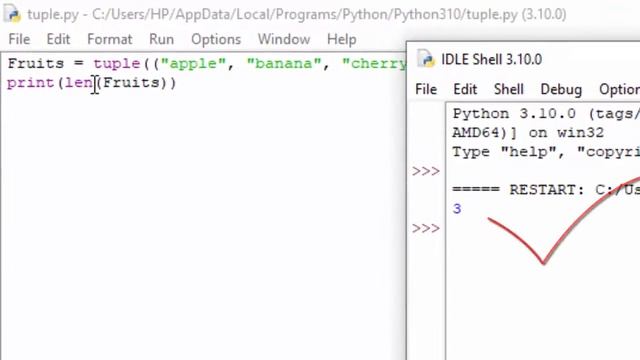 How to print the length of tuple's data type in Python@COMPUTEREXCELSOLUTION смотреть онлайн
