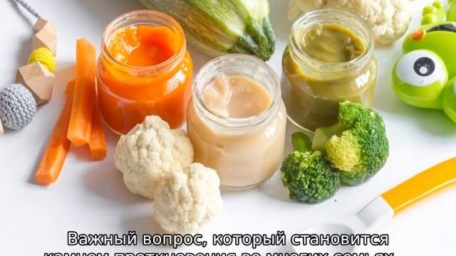 Что можно давать ребенку в 6 месяцев кушать и пить смотреть онлайн