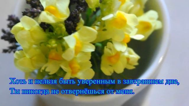 Для моего единственного мужа смотреть онлайн