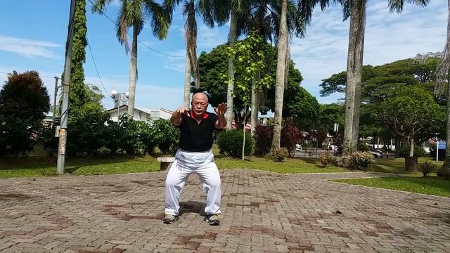 Taiji Qigong Shibashi ~ Set 2 смотреть онлайн